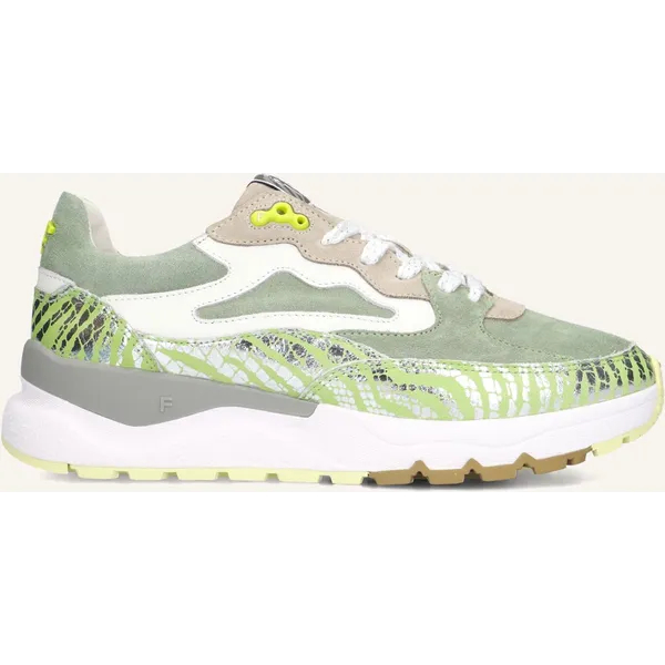 Floris Van Bommel Sfw-10163 Treni Groen