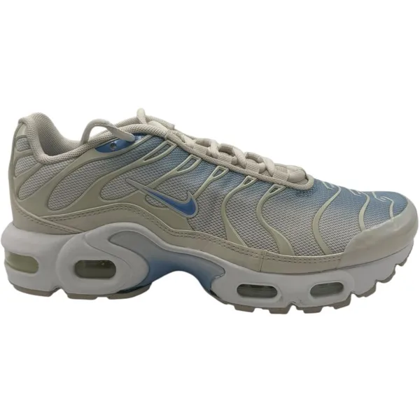 Nike Air Max Plus - Sneakers - Wit/Blauw