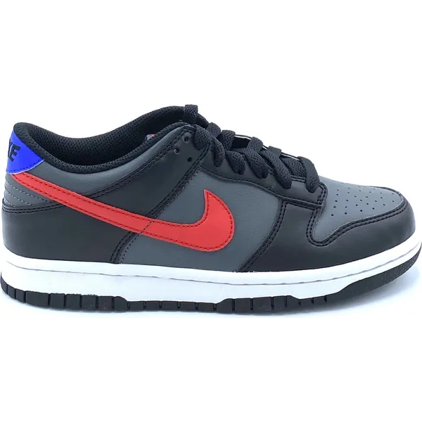 Nike Dunk Zwart/Grijs/Rood/Blauw