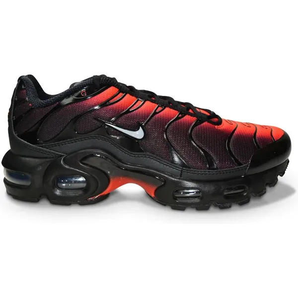 Nike Air Max Plus Zwart