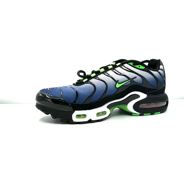 Nike Air Max Plus blauw