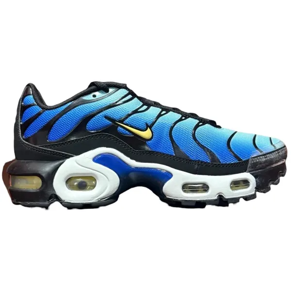Nike Air Max Plus Blauw/Wit