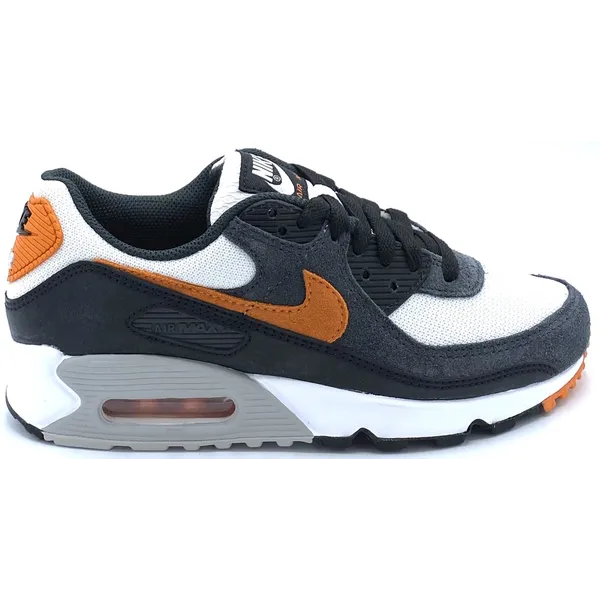 Nike Air Max 90 Multi