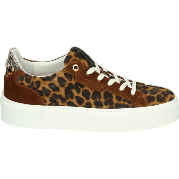 Floris van Bommel Floris van Bommel SFW-10106-23-01 - Lage sneakersDames sneakers - Kleur: Bruin - Maat: 39.5 — vergelijk prijzen bij 1 winkel