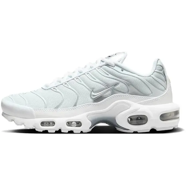 Nike Air Max Plus Wit / Zilver
