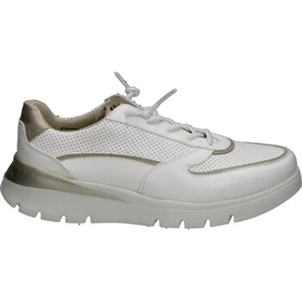 Pitillos Lage Sneakers Pitillos 116816 — vergelijk prijzen bij 1 winkel