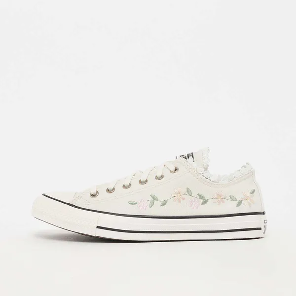 Converse Chuck Taylor wit
