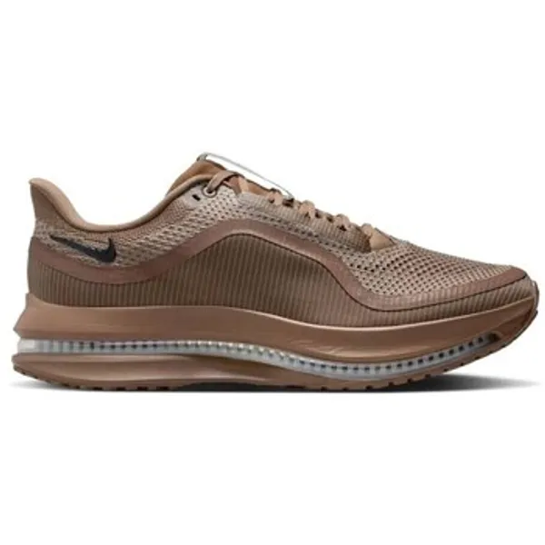 Nike Pegasus Bruin