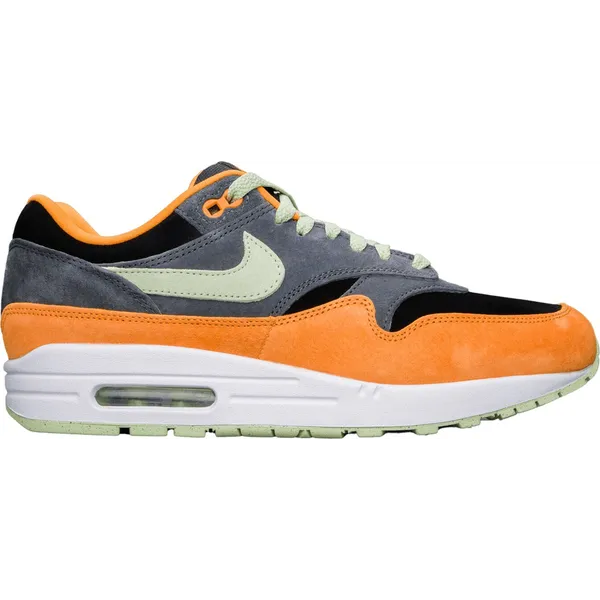 Nike Nike Air Max 1 PRM Duck Honey Dew — vergelijk prijzen bij 1 winkel