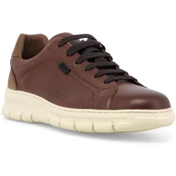 Melluso Lage Sneakers Melluso U55382Q-259778 — vergelijk prijzen bij 1 winkel