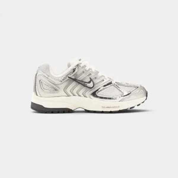 Nike Pegasus 2005 Grijs